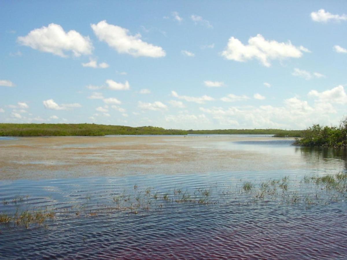 Buttonwood Reserve 1B James Cistern エクステリア 写真